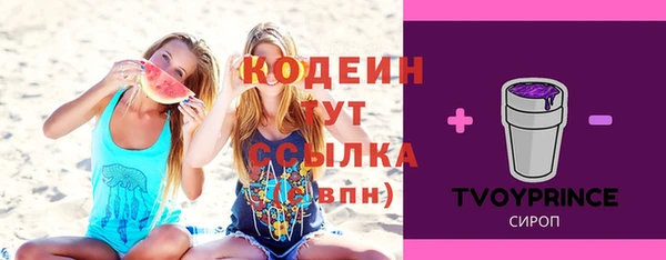 шишки Няндома