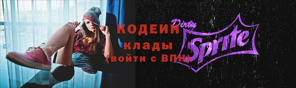 шишки Няндома
