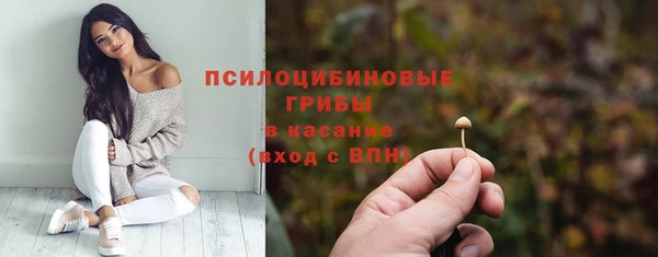 гидропоника Нязепетровск