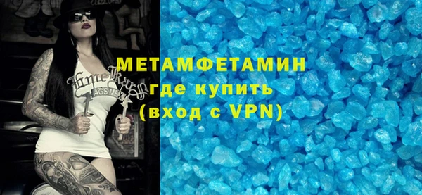 шишки Няндома