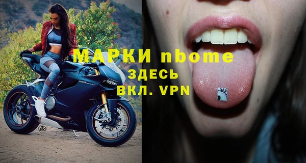 шишки Няндома