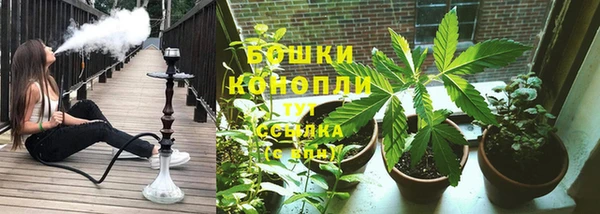 ALPHA PVP Новозыбков