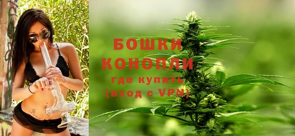 шишки Няндома