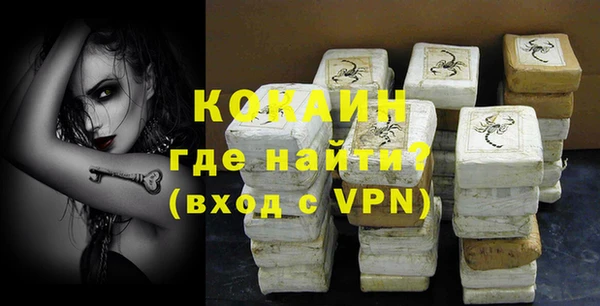 шишки Няндома