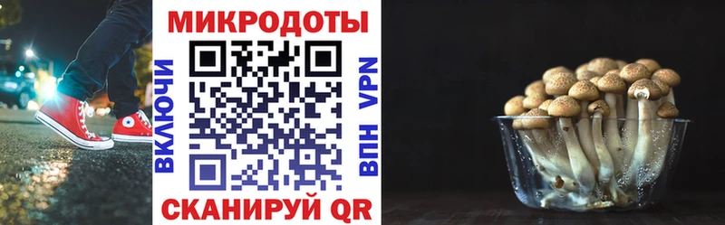 закладка  Рыбинск  Галлюциногенные грибы GOLDEN TEACHER 