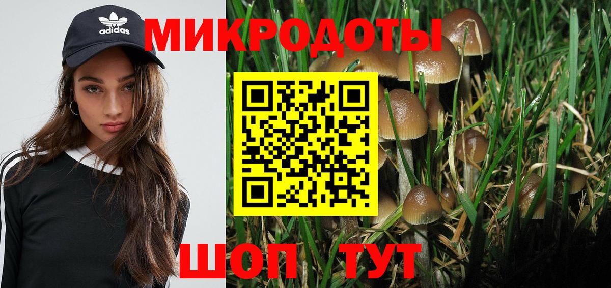 купить наркотики цена  Псилоцибиновые грибы Cubensis  Вход с VPN  Рыбинск 